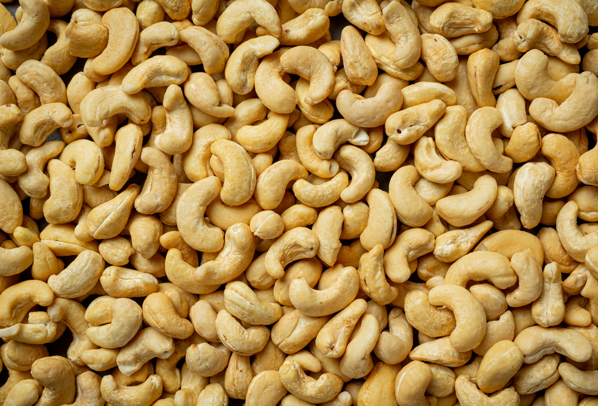 Expert in Cashews
